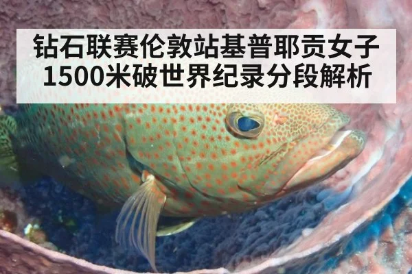 钻石联赛伦敦站基普耶贡女子1500米破世界纪录分段解析