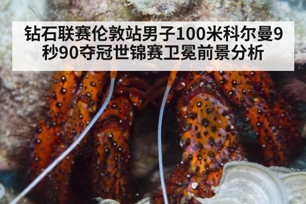 钻石联赛伦敦站男子100米科尔曼9秒90夺冠世锦赛卫冕前景分析