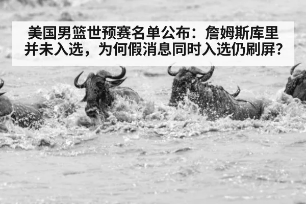 美国男篮世预赛名单公布：詹姆斯库里并未入选，为何假消息同时入选仍刷屏？